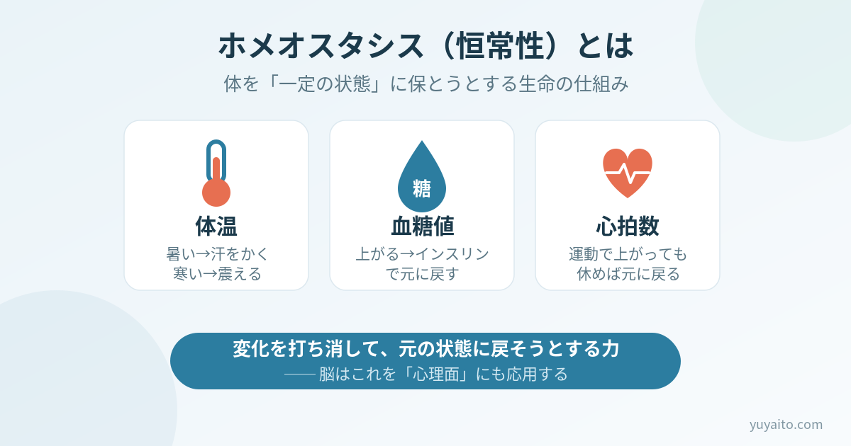 ホメオスタシス(恒常性)とは?体温・血糖値・心拍数の例で図解